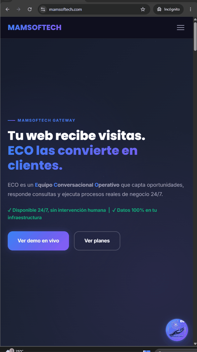 Demo ECO — conversación en vivo y lead en Odoo CRM
